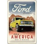 Postershop Plechová cedule: Ford Bronco (Pride of America) - 20x30 cm – Hledejceny.cz