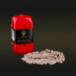 Ze stromu Mořské řasy plus 500 mg 40 kapslí – Hledejceny.cz