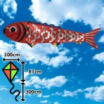 D&P Ryba 4m – Zboží Dáma D&P Ryba 4m – Zboží Dáma