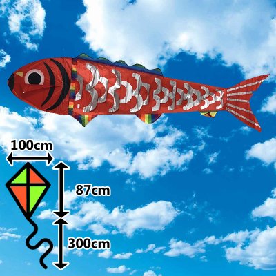 D&P Ryba 4m – Zboží Dáma D&P Ryba 4m – Zboží Dáma