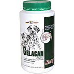 Orling - Gelacan Champion psi barevná plemena 150 g – Hledejceny.cz