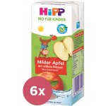 HiPP BIO Nápoj Jemné jablko s neperlivou pramenitou vodou 200 ml – Zboží Dáma