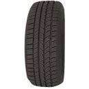Osobní pneumatika Profil Pro Snow 790 205/55 R16 91H