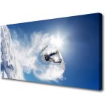 Obraz na plátně Snowboard Sport Sníh Zima 100x50 cm – Hledejceny.cz