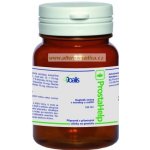 Joalis ProHerb ProstaHelp Bylinné kapsle 100 kapslí – Hledejceny.cz