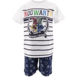 Sun City pyžamo Hrry Potter bílá modrá – Zboží Dáma