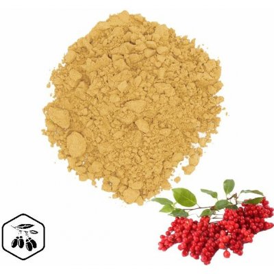 LifeChi Klanopraška čínská Schisandra chinensis, Magnolia vine extrakt v prášku 50 g – Hledejceny.cz