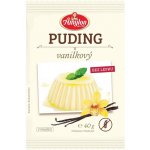Amylon puding vanilkový bezlepkový 40 g – Zboží Dáma