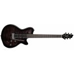 Godin XT SA – Hledejceny.cz