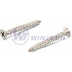 Šroub do plechu 4,8 x 19 DIN 7982C A2, 1000 ks SCBGB48019A – Sleviste.cz