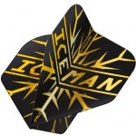 Red Dragon Hardcore Ionic Gerwyn Price zlato-černé, extra hrubé – Hledejceny.cz