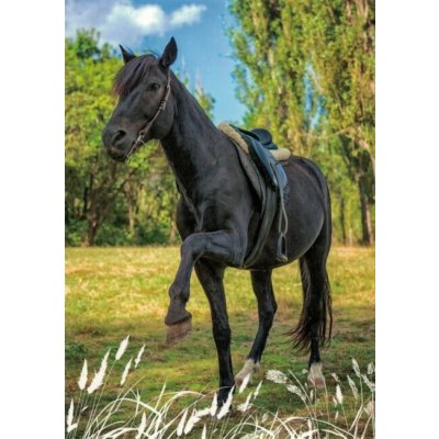 Pohlednice Kůň 99 – Sleviste.cz