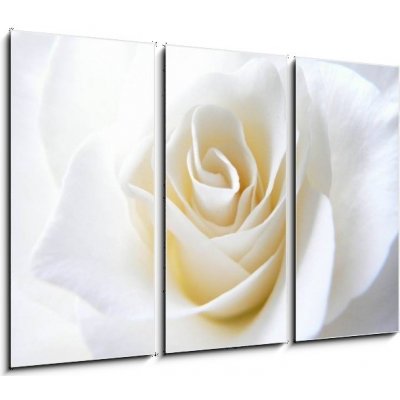 Obraz 3D třídílný - 105 x 70 cm - Schneeweisschen oder die wei e Rose Sněhurka nebo bílá růže