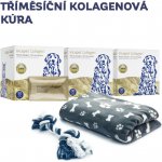 INCA COLLAGEN Tříměsíční kolagenová kúra 3 x 30 sáčků + vitamín C a vitamín D – Hledejceny.cz