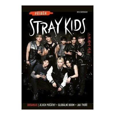 Příběh Stray Kids – Zboží Dáma