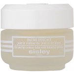Sisley Sisleya eye And Lip Contour Balm Péče o oční okolí 30 ml – Hledejceny.cz