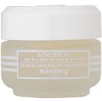 Sisley Sisleya Eye And Lip Contour Balm Péče o oční okolí 30 ml – Zboží Mobilmania