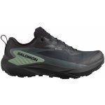 Salomon Genesis Gore-Tex černé/zelená – Zboží Dáma