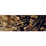 ATG pozadí Amazon 160 x 60 cm – Zboží Mobilmania