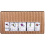 Anton Kaapl 47% 5 x 0,05 l (set) – Zboží Dáma