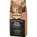 Carnilove Salmon & Turkey for Large Breed Puppy 2 x 12 kg – Hledejceny.cz