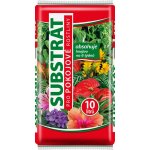 Forestina Standard Pokojové rostliny 10 l – Hledejceny.cz