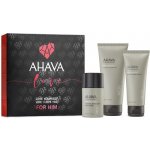 Ahava Celebrate Life Deadsea Water minerální krém na tělo 100 ml + Deadsea Water minerální krém na ruce 100 ml + Deadsea Water minerální krém na nohy 100 ml dárková sada – Hledejceny.cz