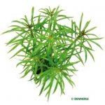 Dennerle pozadí Scaper's Back bílé pro 5754 45 x 31 cm – Sleviste.cz