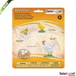 Safari Životní cyklus Kuře – Zboží Mobilmania