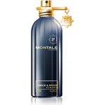 Montale Amber & Spices parfémovaná voda unisex 100 ml – Hledejceny.cz