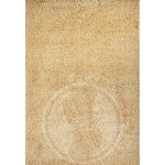 Spoltex Efor Shaggy 2226 beige – Sleviste.cz