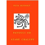 Pavouci od staré chalupy - Petr Skybský – Zboží Dáma