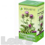Megafyt Ostropestřec mariánský bylinný čaj 20 x 2 5 g – Zboží Mobilmania