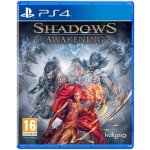 Shadows: Awakening – Zboží Dáma