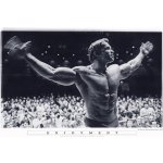 Plakát, Obraz - Arnold Schwarzenegger - Enjoyment, 91.5 × 61 cm – Zboží Dáma