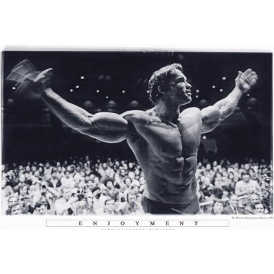 Plakát, Obraz - Arnold Schwarzenegger - Enjoyment, 91.5 × 61 cm – Zboží Dáma