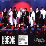 Stray Kids - Karma Clear Blue Vinyl LP – Sleviste.cz