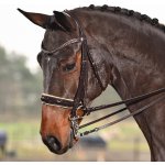 BUSSE Uzda Luxury hnědá cream crystal hazel – Sleviste.cz