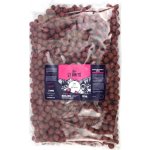 LT Baits Boilies Extreme Strawberry 5 kg 20 mm – Zboží Dáma
