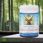 TCM Herbs Křehkost svinutého lístku 100 tablet – Hledejceny.cz