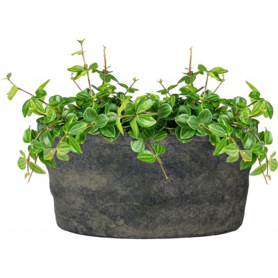 Ter Steege Váza široká Nature earth D25x13 H12 – Hledejceny.cz