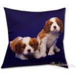 Dadka polštář Dva béžovohnědí psi 40x40 – Zbozi.Blesk.cz