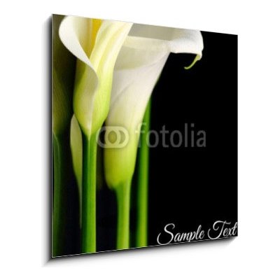 Skleněný obraz 1D - 50 x 50 cm - Beautiful white Calla lilies with reflection on black background Krásné bílé Calla lilie s odrazem na černém pozadí – Zboží Mobilmania