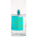 Issey Miyake L'Eau d'Issey Pour Homme Shade of Lagoon toaletní voda pánská 100 ml – Hledejceny.cz