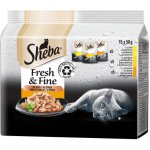 Sheba Fresh & Fine drůbeží výběr ve šťávě pro dospělé kočky 50x50 g – Zboží Dáma