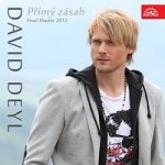 David Deyl – Přímý zásah - Final Master 2012 - Singl MP3 – Hledejceny.cz