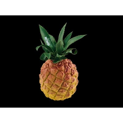 Nino 595 Pineapple Shaker