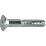 Šroub zápustná hlava vnitřní šestihran ISO10642 M6x60, 8.8 ocel pozink – Hledejceny.cz