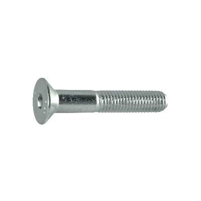 Šroub zápustná hlava vnitřní šestihran ISO10642 M6x60, 8.8 ocel pozink – Hledejceny.cz