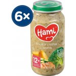Hami Brokolice s krůtou a cuketou 6 x 250 g – Zboží Dáma